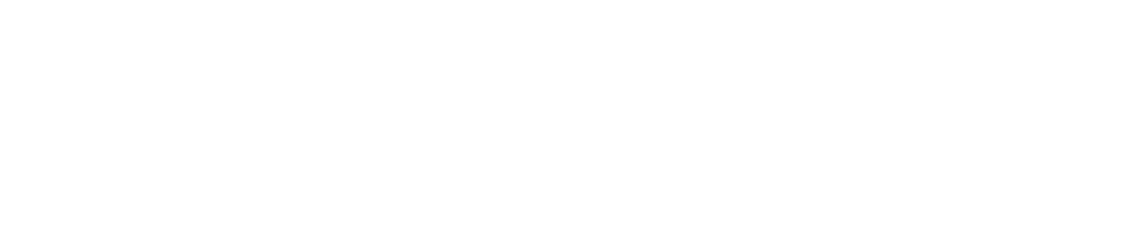ZINE Logo